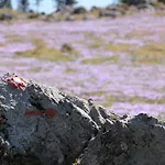 Velika Planina Slovenka * Stahovica