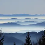 Velika Planina Slovenka