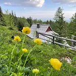 Velika Planina Slovenka