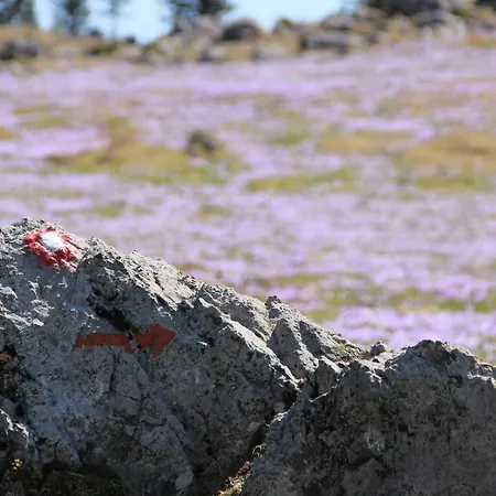 Velika Planina Slovenka * Stahovica