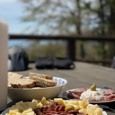 Daire Velika Planina Slovenka