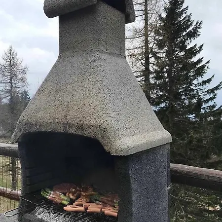Appartement Velika Planina Slovenka *