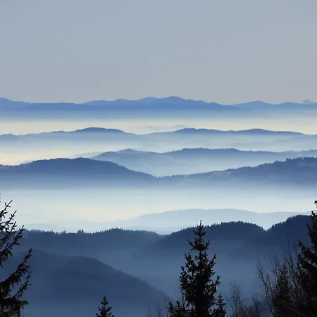 Velika Planina Slovenka