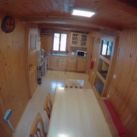 Daire Velika Planina Slovenka