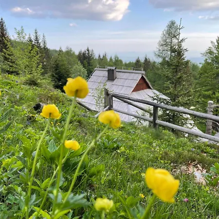 Velika Planina Slovenka