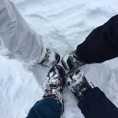 Velika Planina Slovenka Daire