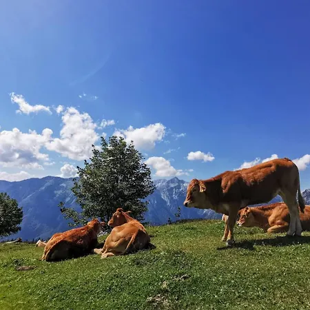 Velika Planina Slovenka *