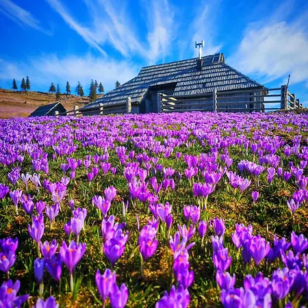 Velika Planina Slovenka Lägenhet Stahovica