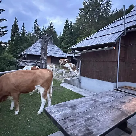 Velika Planina Slovenka * Stahovica