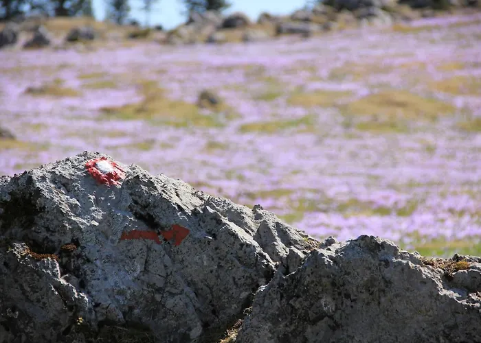 Velika Planina Slovenka * Stahovica
