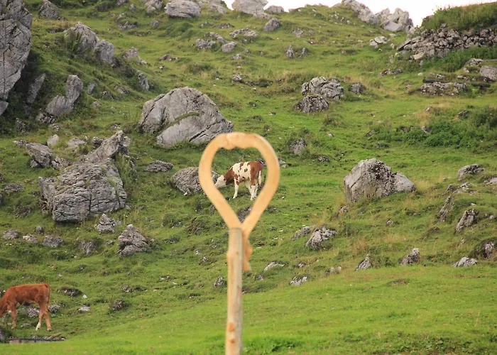 Velika Planina Slovenka Apartment *