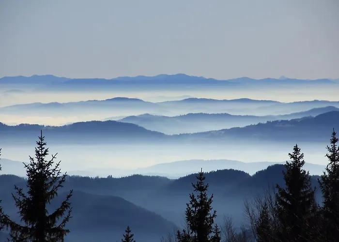 Velika Planina Slovenka