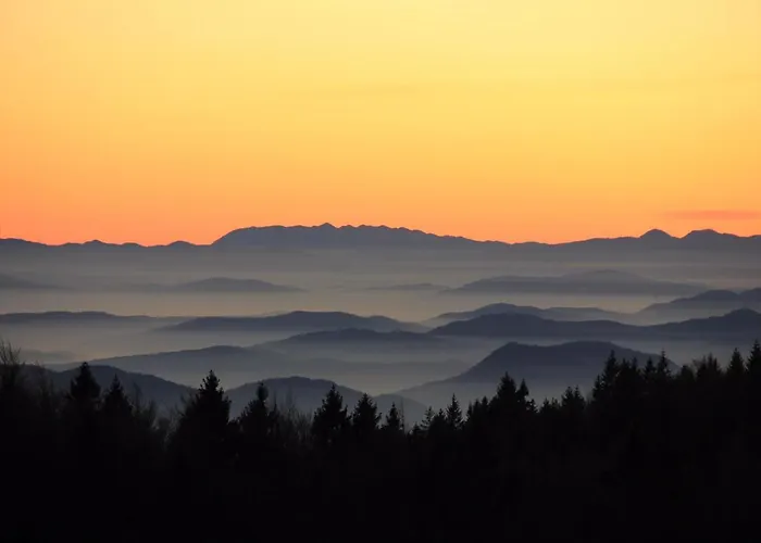 Velika Planina Slovenka Daire *