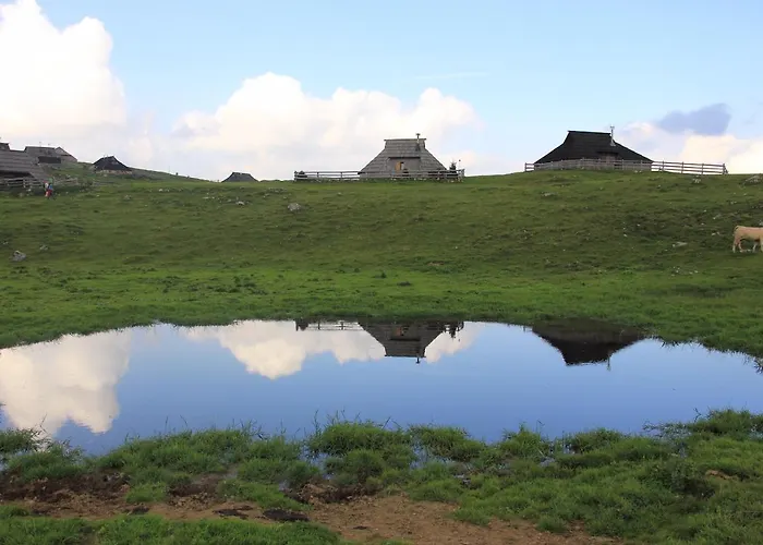 Velika Planina Slovenka Stahovica