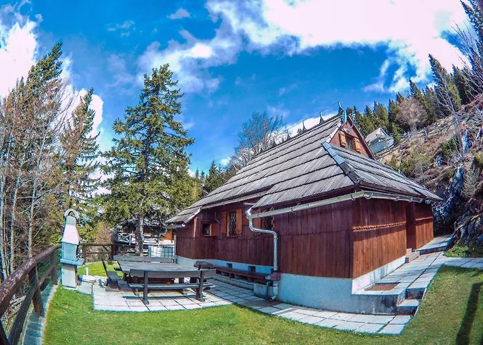Velika Planina Slovenka Daire