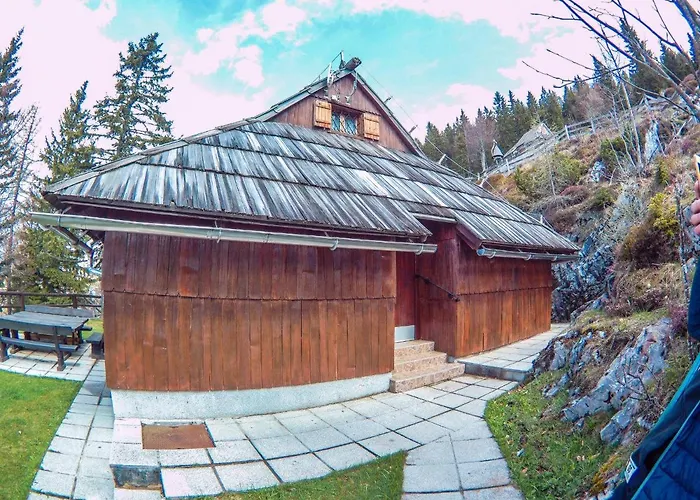 Daire Velika Planina Slovenka *