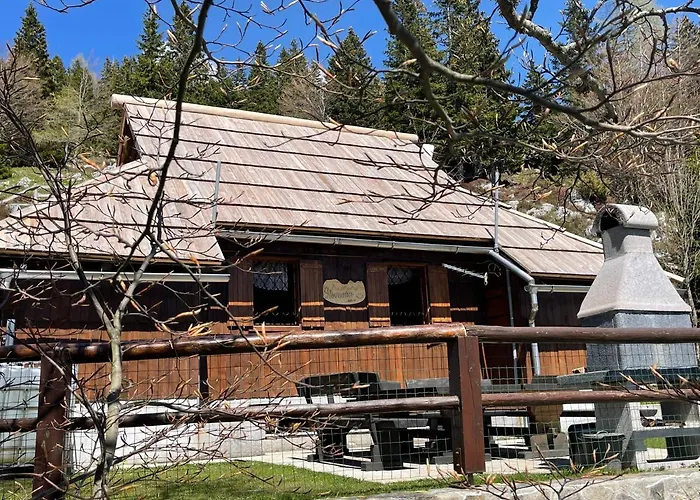 Velika Planina Slovenka Daire Stahovica