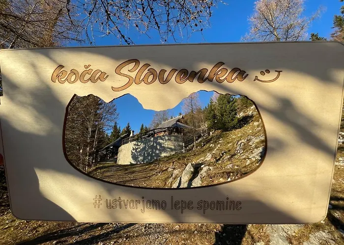 Daire Velika Planina Slovenka *