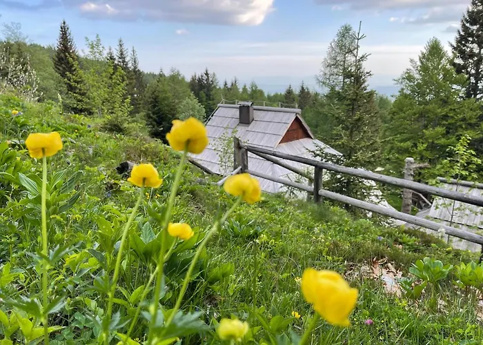 Velika Planina Slovenka