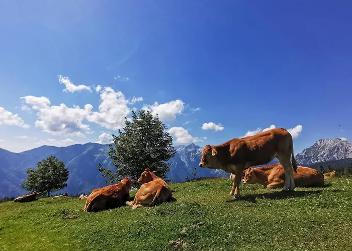 Velika Planina Slovenka *