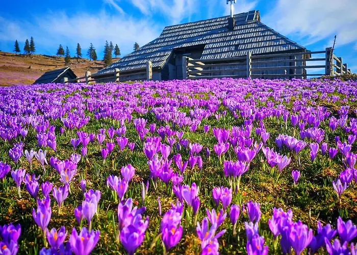 Velika Planina Slovenka Apartment Stahovica